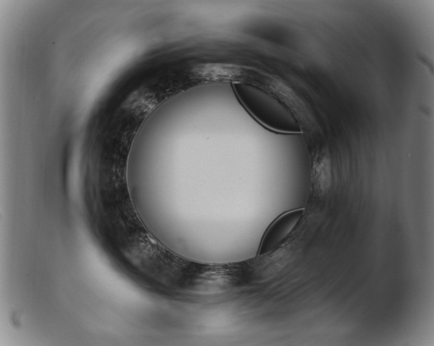 X0000103910381200809191308