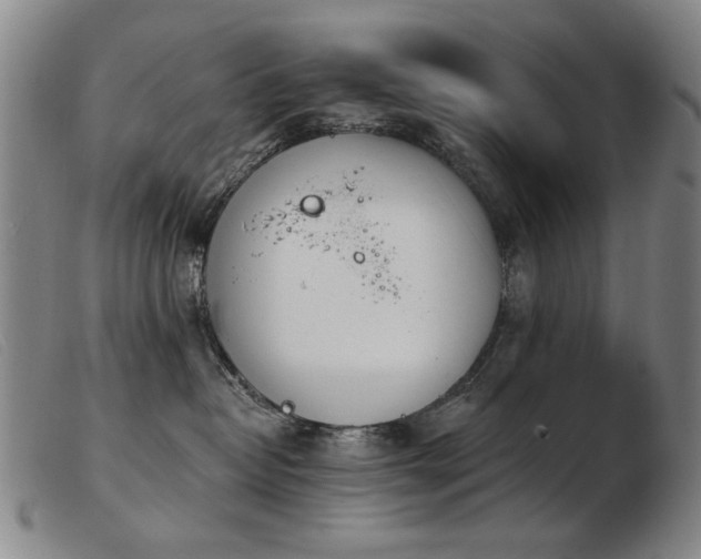 X0000103910382200809191308