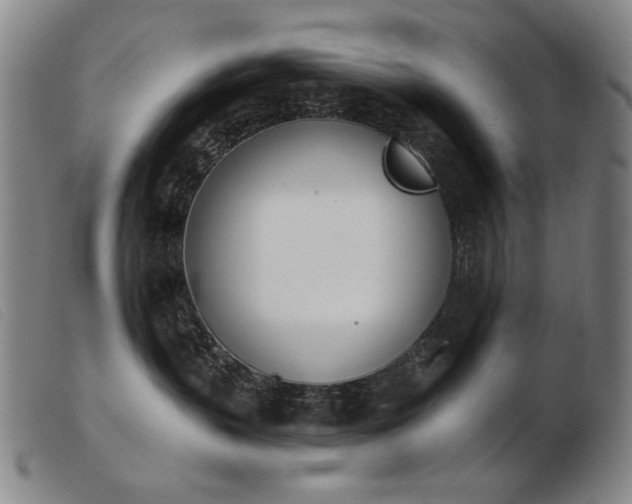 X0000103910383200809191308