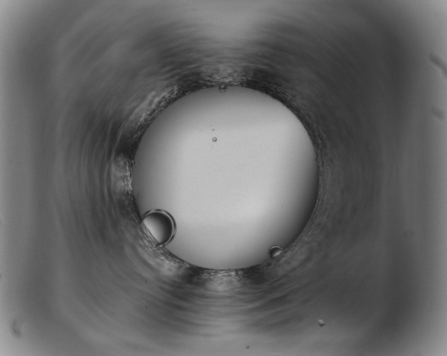 X0000103910384200809191308