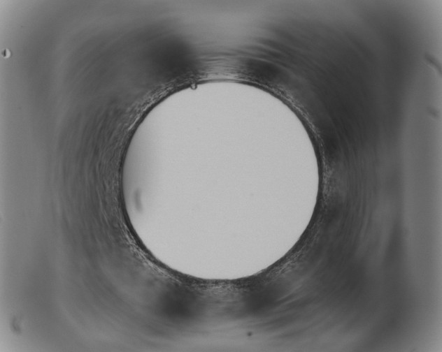 X0000103910385200809191307