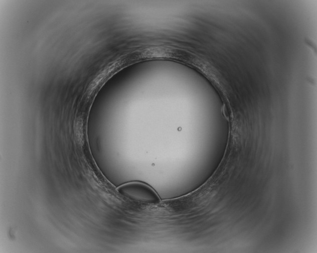 X0000103910386200809191307
