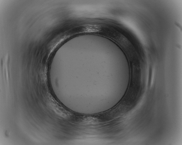 X0000103910387200809191307