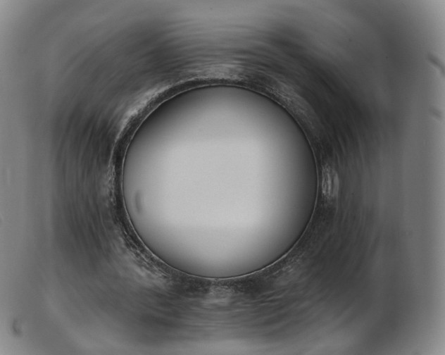 X0000103910388200809191307