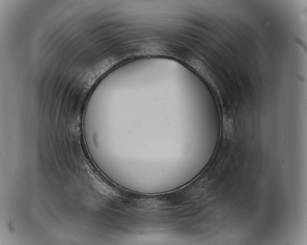 X0000103910389200809191307