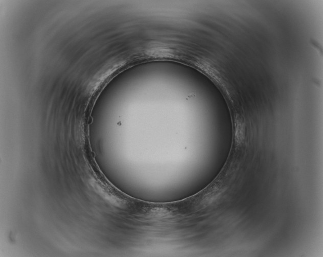 X0000103910390200809191307