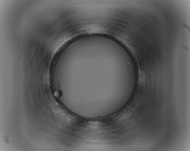 X0000103910391200809191307