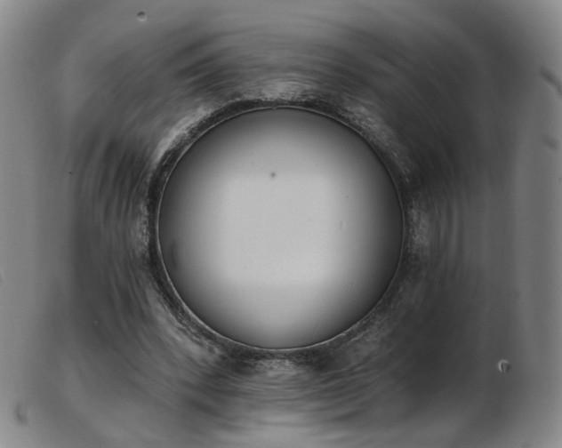 X0000103910392200809191307