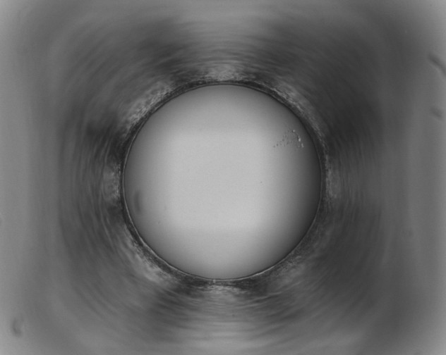X0000103910393200809191307