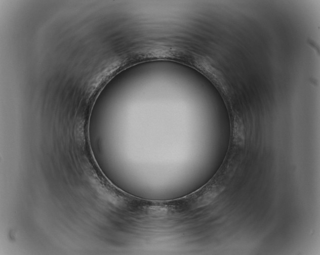 X0000103910394200809191307