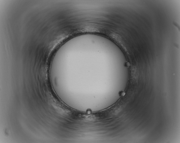 X0000103910395200809191307
