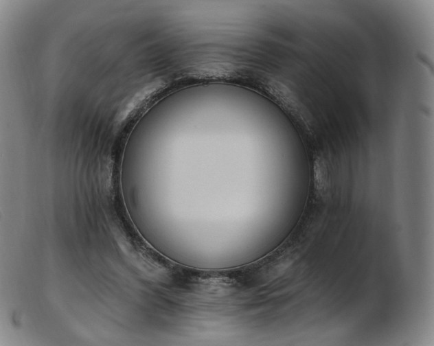 X0000103910396200809191307