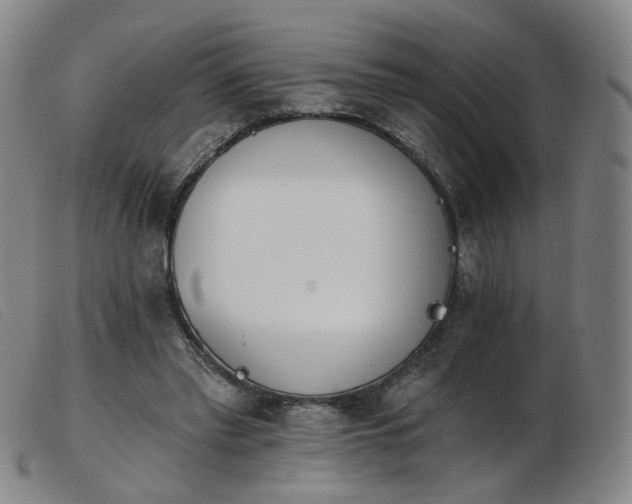 X0000103910397200809191307