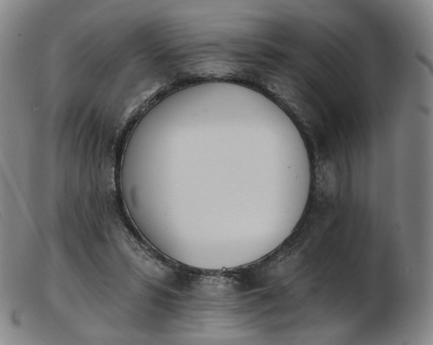 X0000103910399200809191307