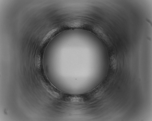 X0000103910400200809191307