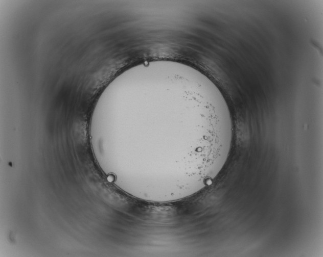 X0000103910401200809191307