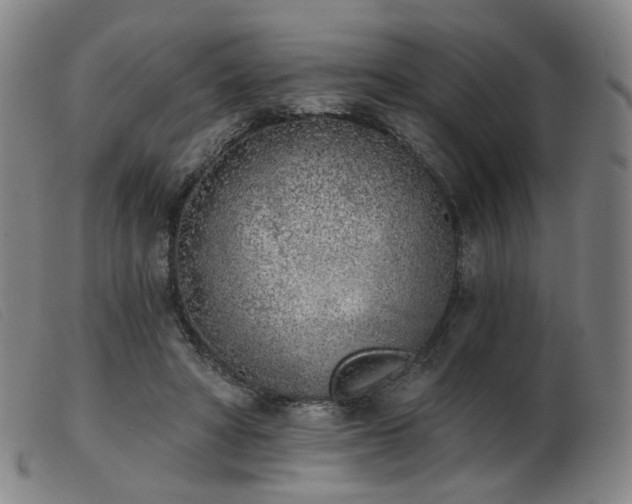 X0000103910402200809191307