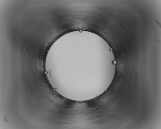 X0000103910403200809191307