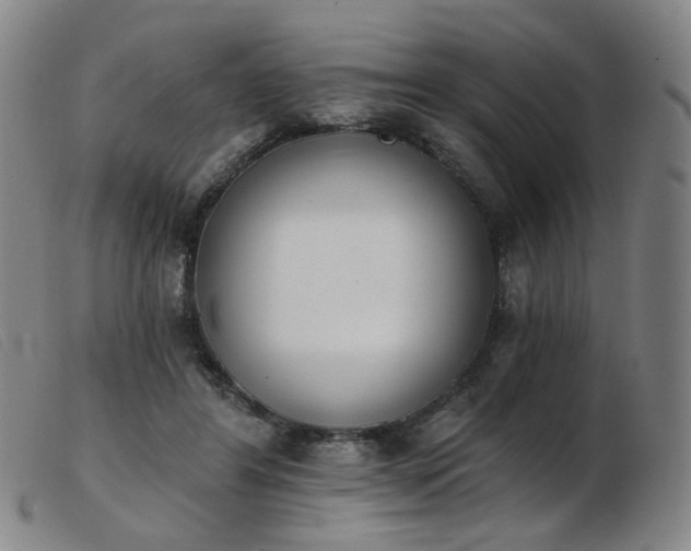 X0000103910404200809191307