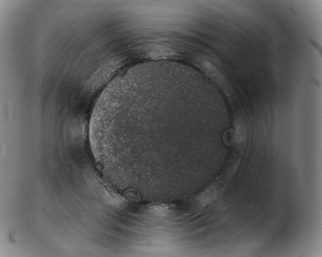 X0000103910405200809191307