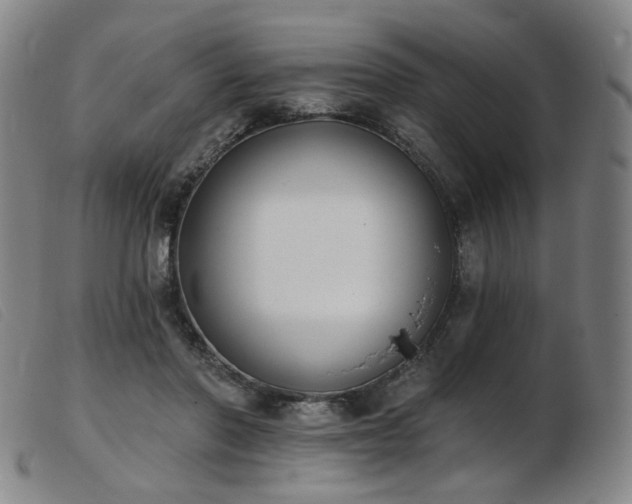 X0000103910406200809191307