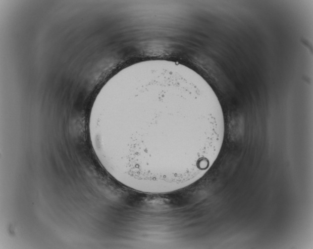 X0000103910407200809191306