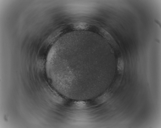 X0000103910409200809191306