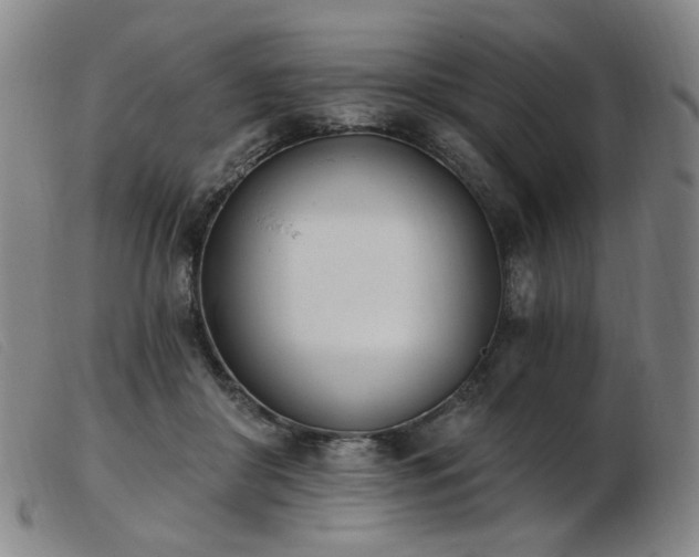 X0000103910410200809191306