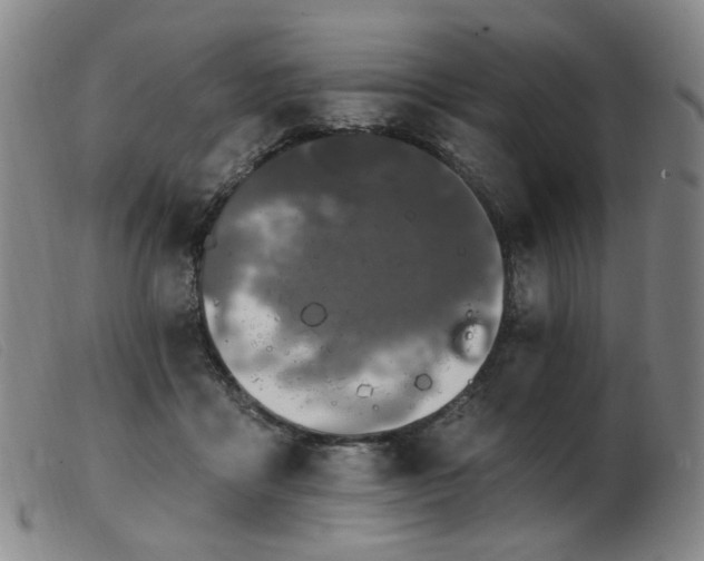 X0000103910411200809191306