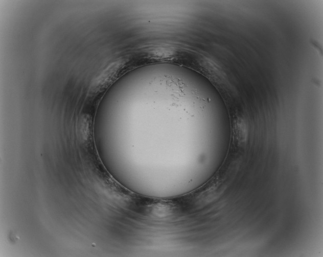 X0000103910412200809191306