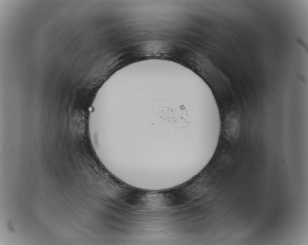 X0000103910413200809191306