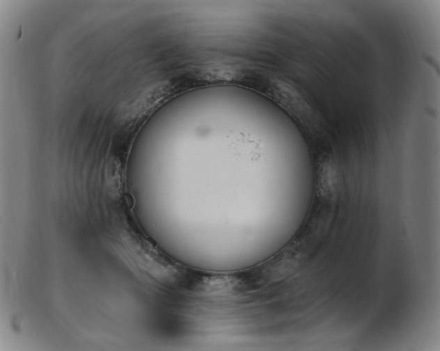 X0000103910414200809191306