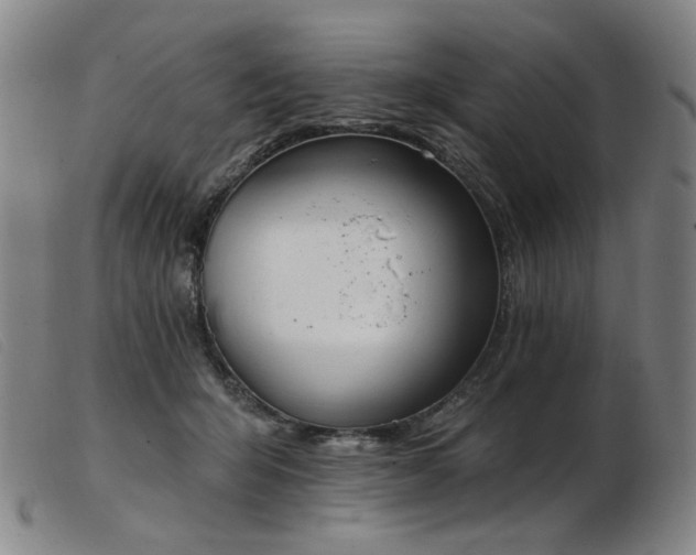 X0000103910415200809191306