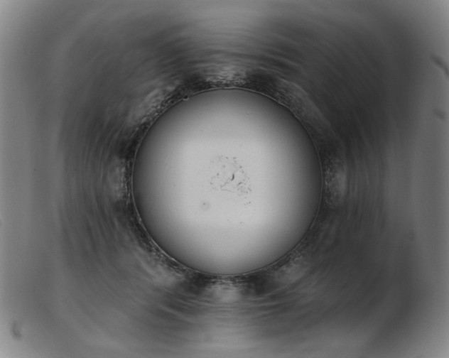 X0000103910416200809191306