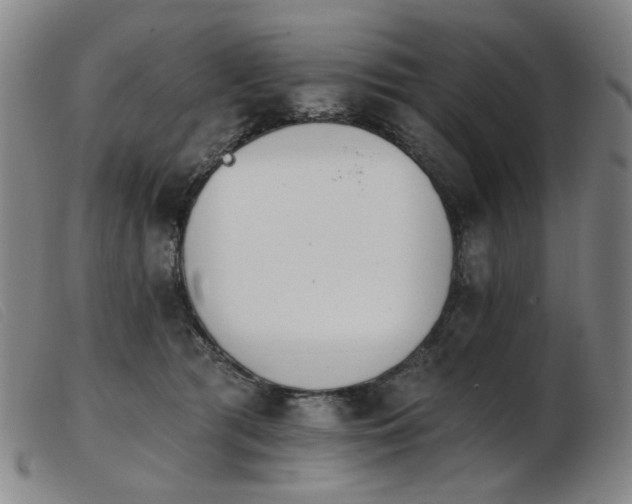 X0000103910417200809191306