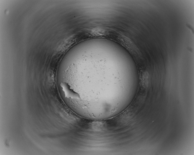 X0000103910418200809191306