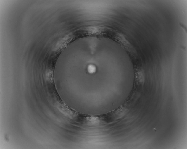 X0000103910419200809191306