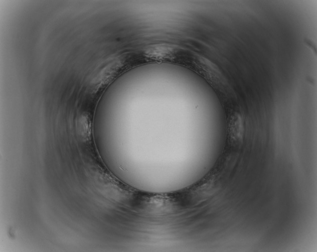 X0000103910420200809191306