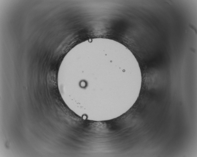X0000103910421200809191306