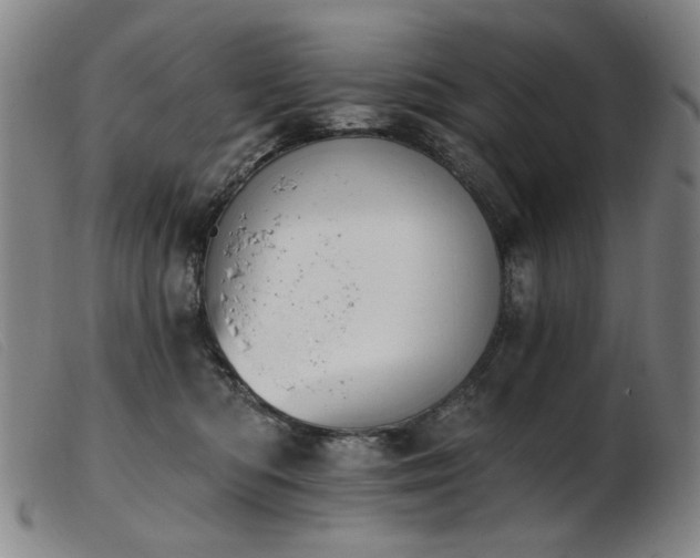 X0000103910422200809191306