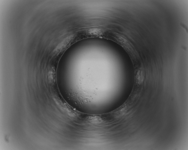 X0000103910424200809191306
