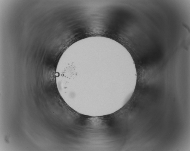 X0000103910425200809191306