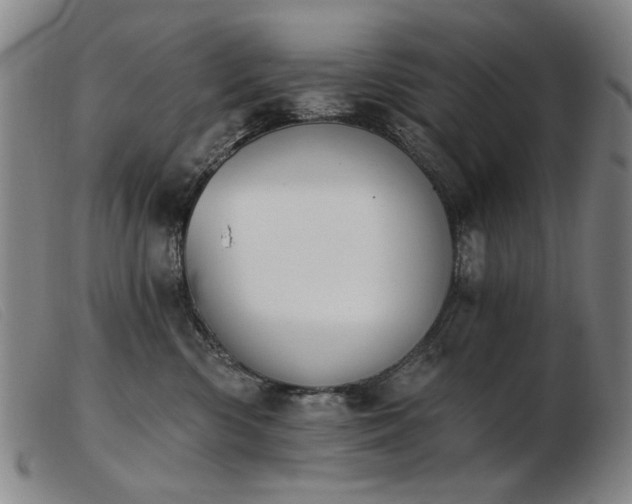 X0000103910426200809191306