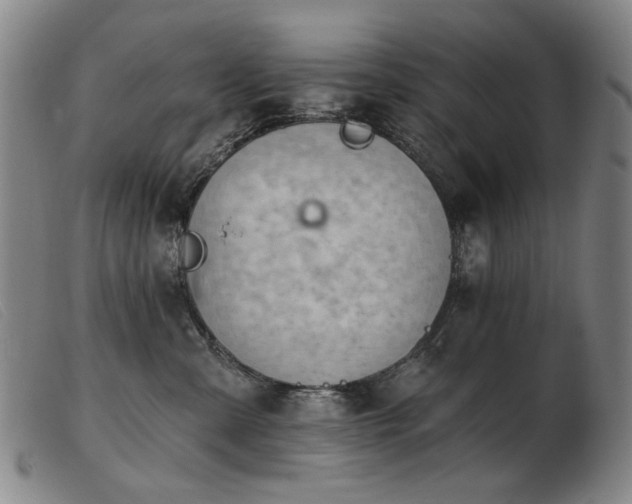 X0000103910427200809191306