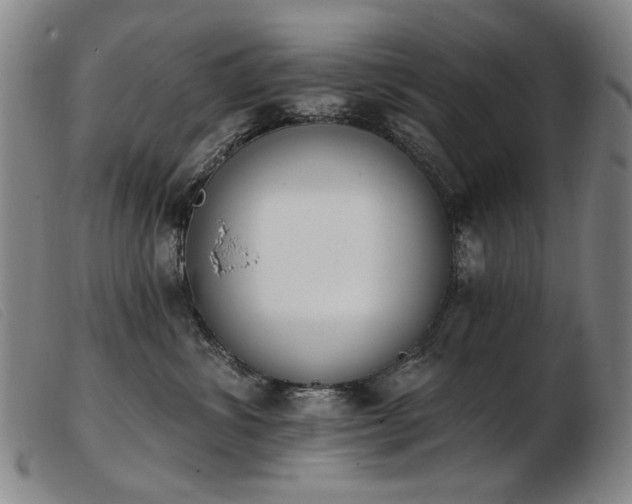 X0000103910428200809191306