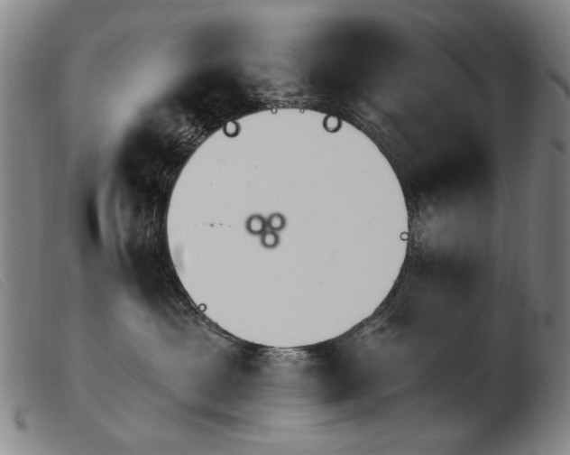 X0000103910429200809191306