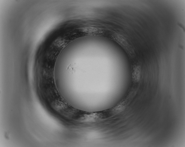 X0000103910430200809191306