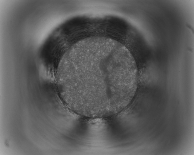 X0000103910431200809191306