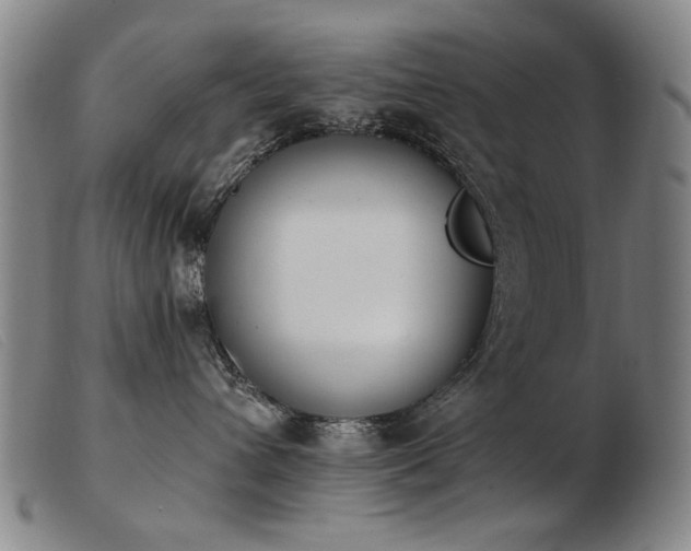 X0000103910432200809191306