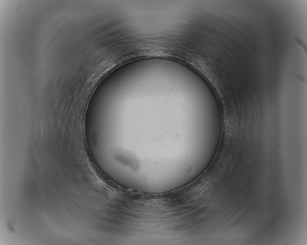 X0000103910433200809191305